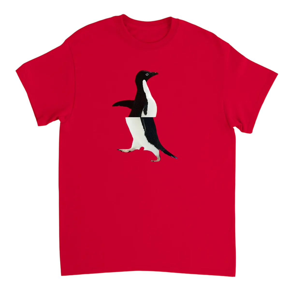 Socially Awkward Penguin T-Shirt White T-Shirts Photo 4