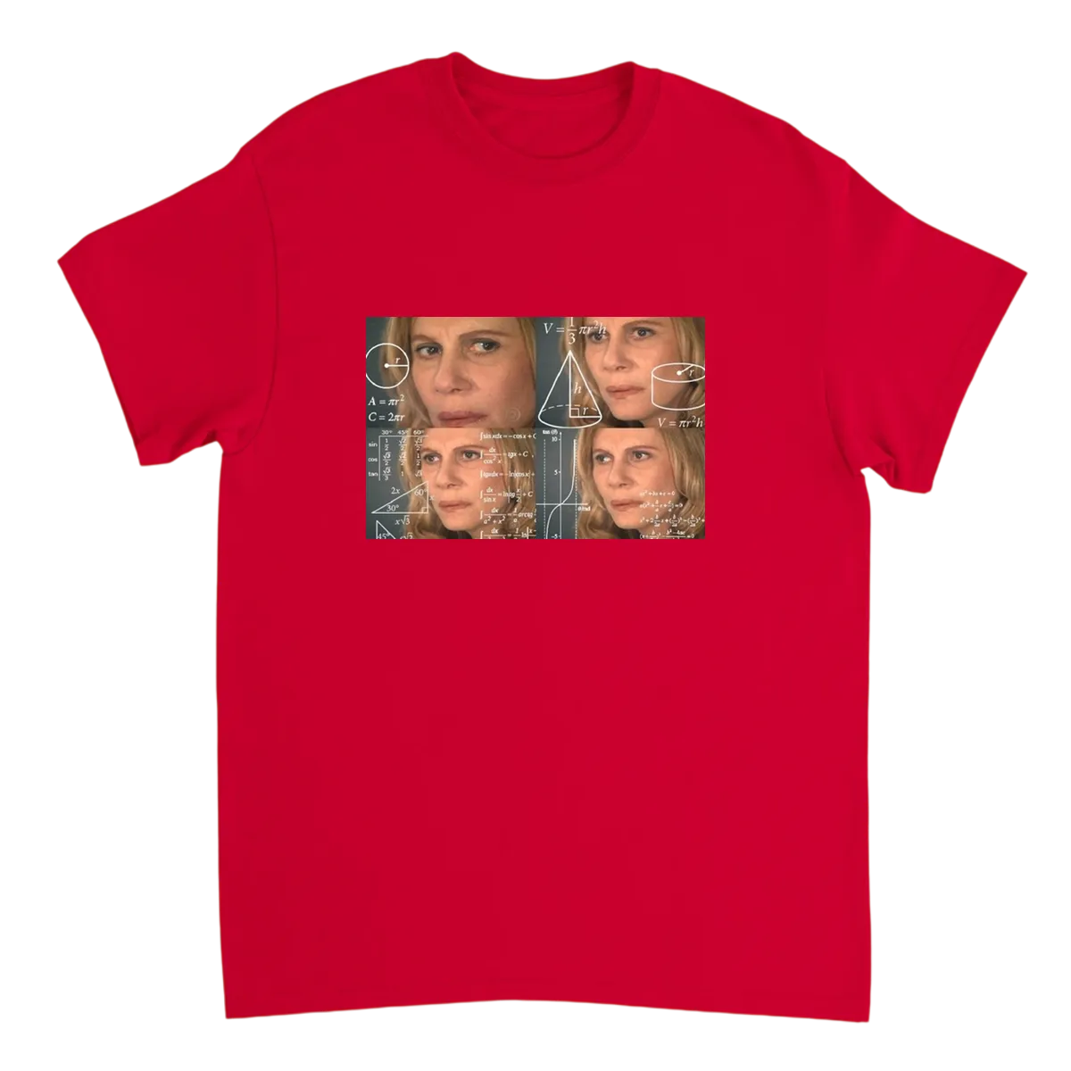 Woman Calculating (Math Lady) T-Shirt