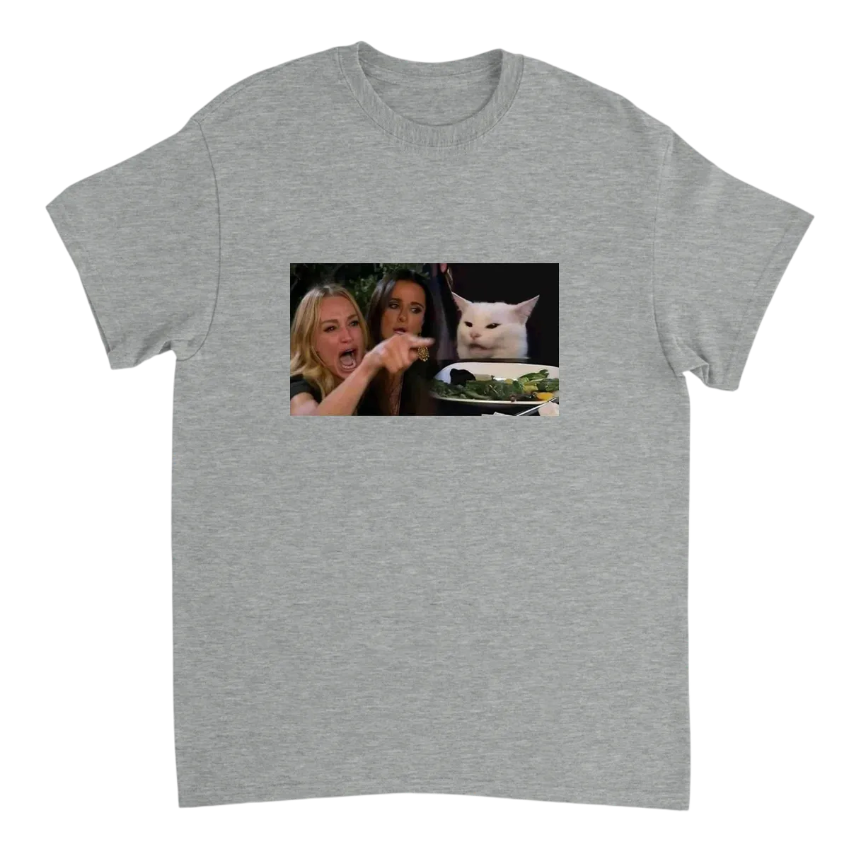 Woman Yelling at Cat T-Shirt