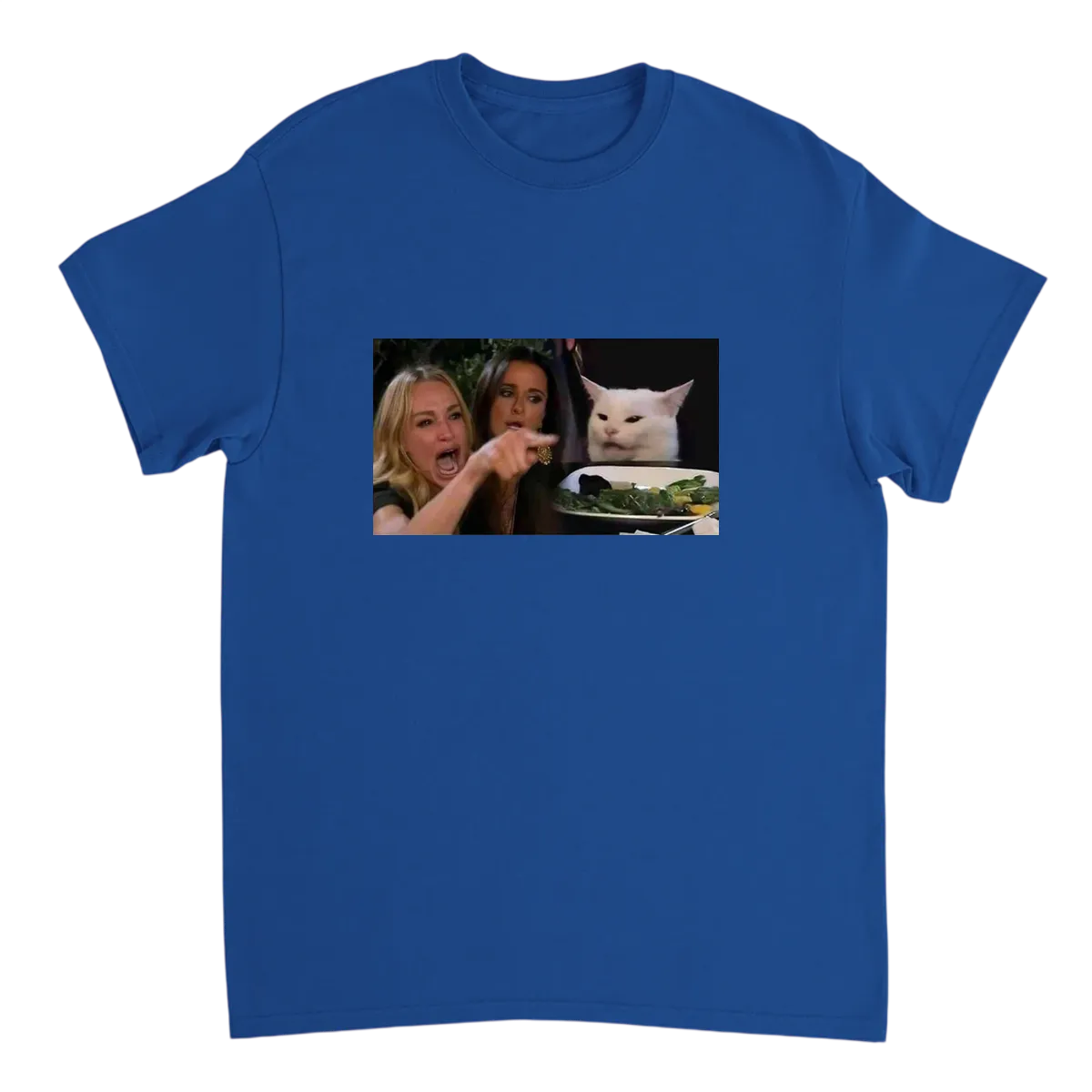 Woman Yelling at Cat T-Shirt
