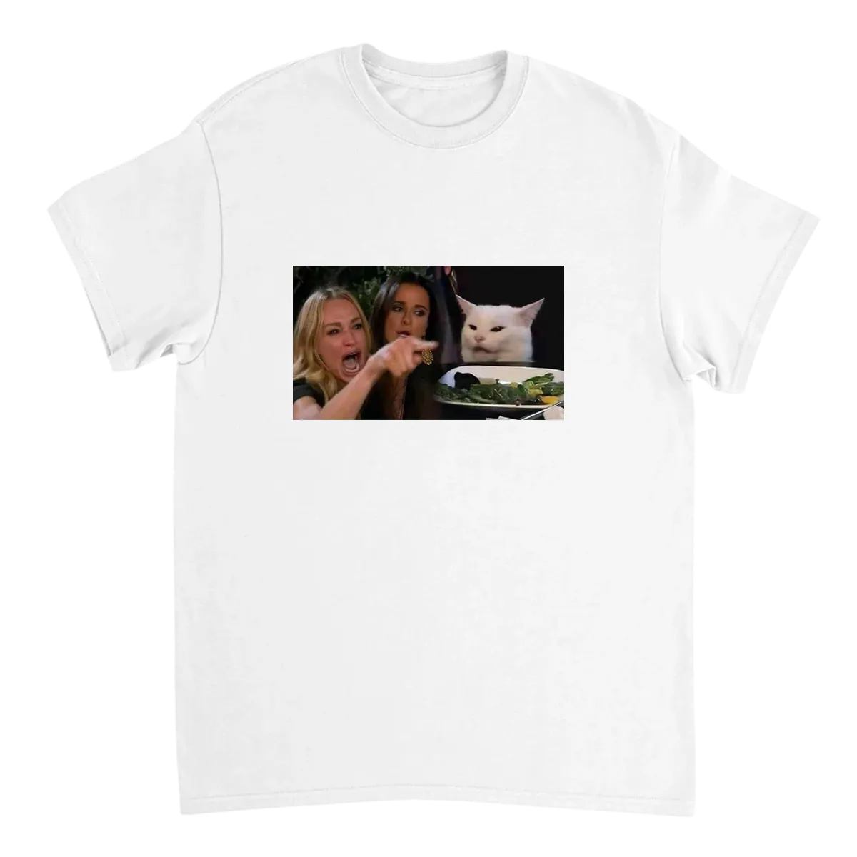 Woman Yelling at Cat T-Shirt